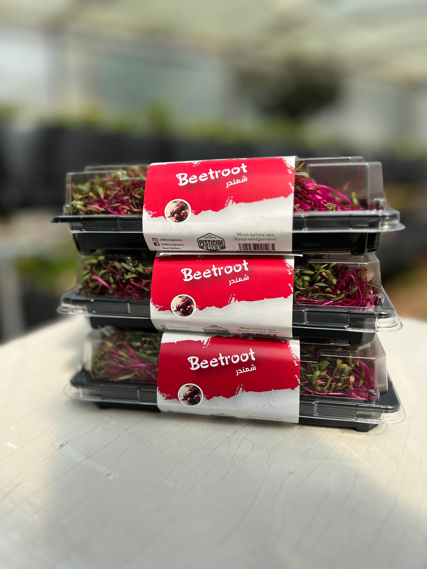 Beetroot Microgreens