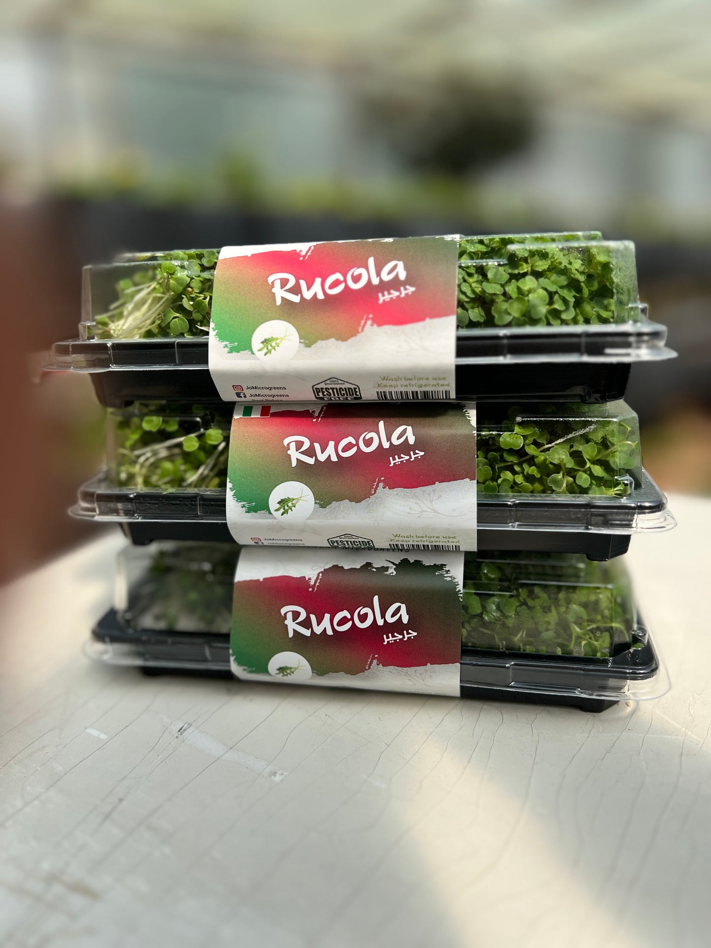 Rucola Microgreens