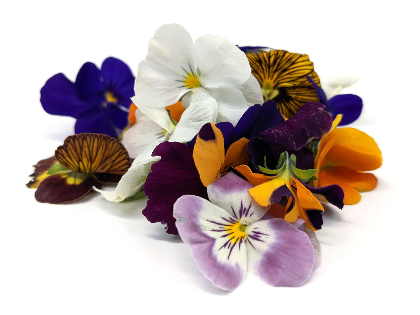 Edible Flowers