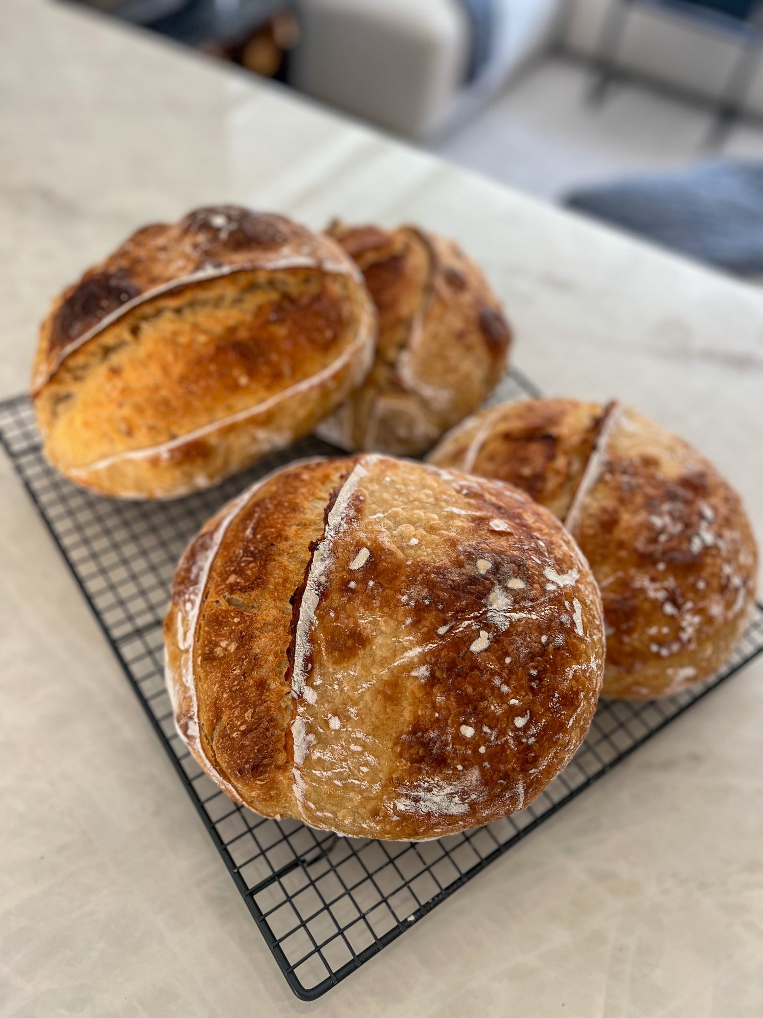 SOURDOUGH BREAD