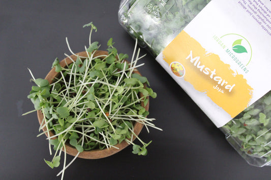 Mustard Microgreens