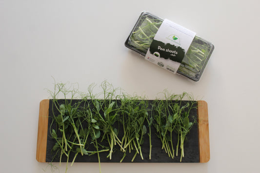 Pea Shoots Microgreens