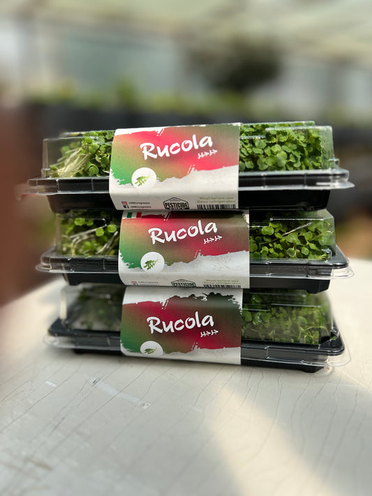 Rucola Microgreens