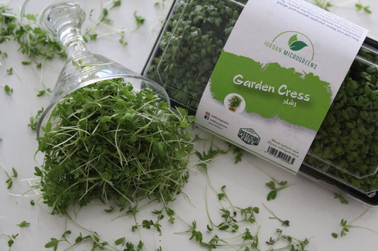 Garden Cress Microgreens