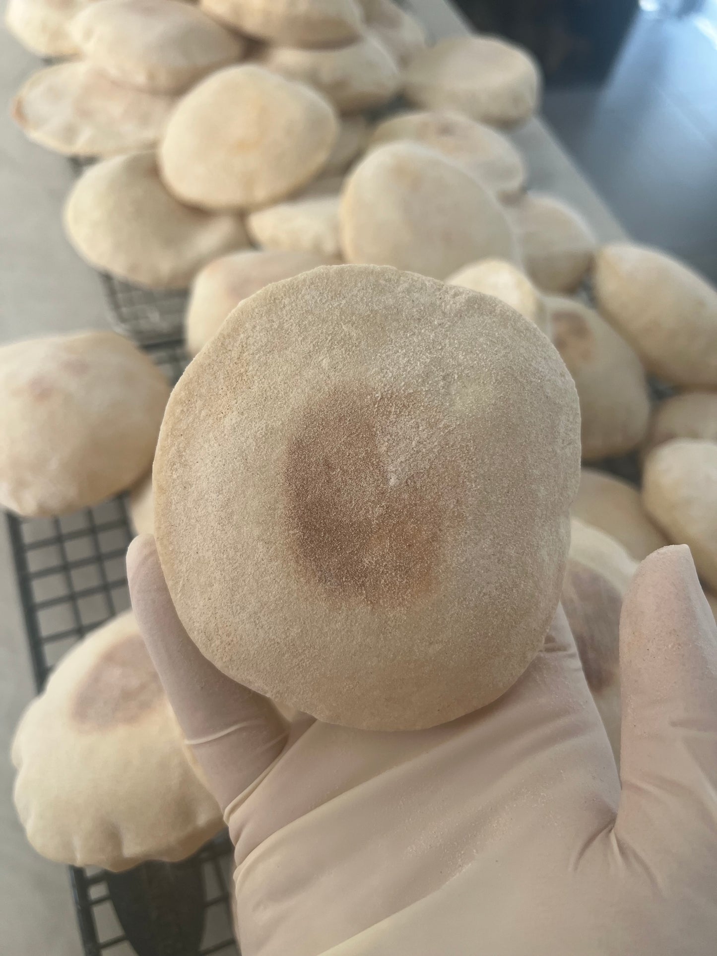 Sourdough Mini Pita (Arabic Bread) Pack of 10