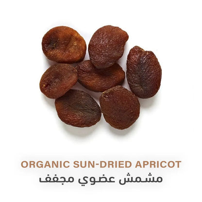 Holistic Corner Organic Dried Apricots 100g
