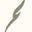 W-qameh logo